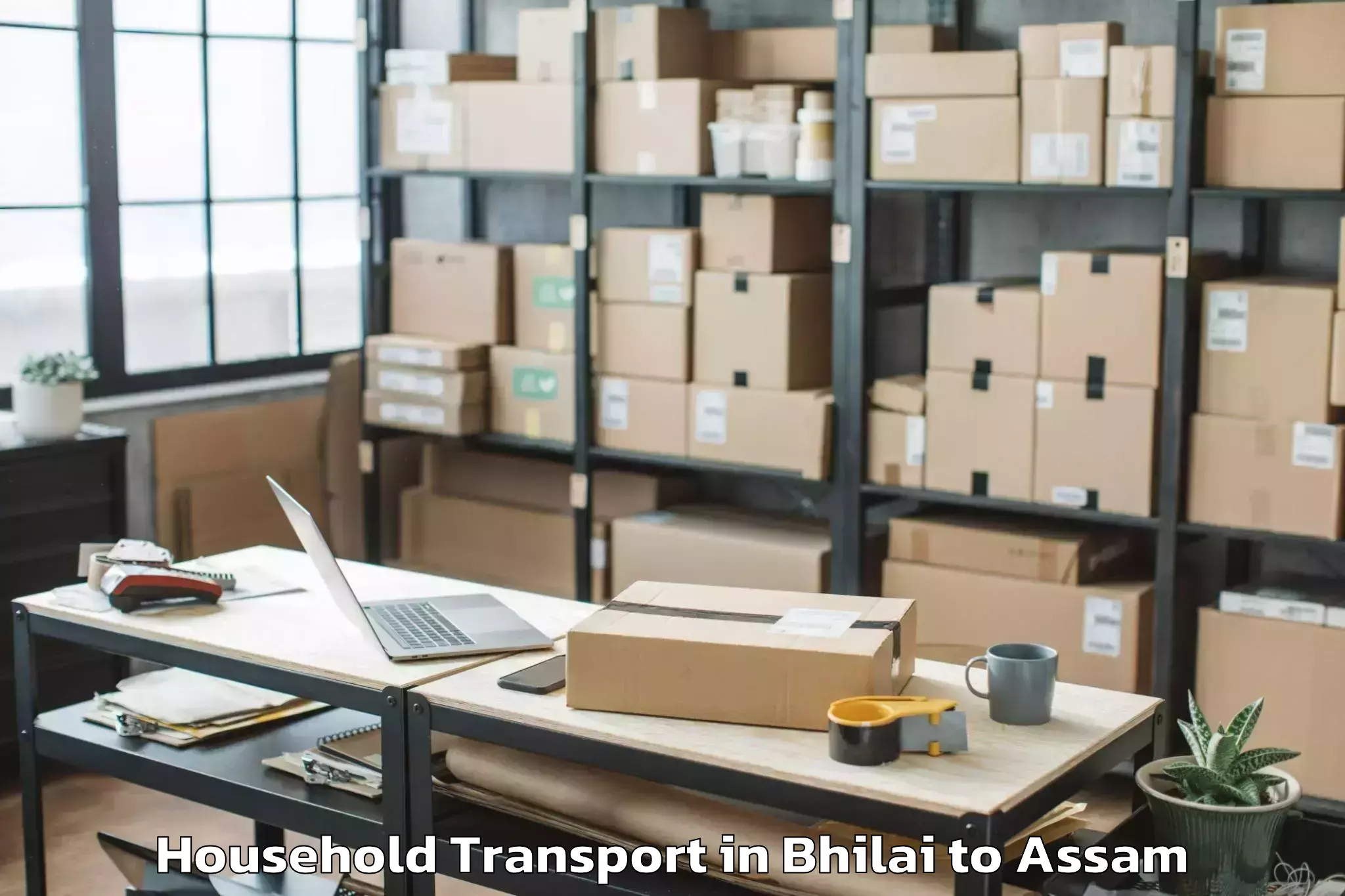 Top Bhilai to Bongkhar Household Transport Available